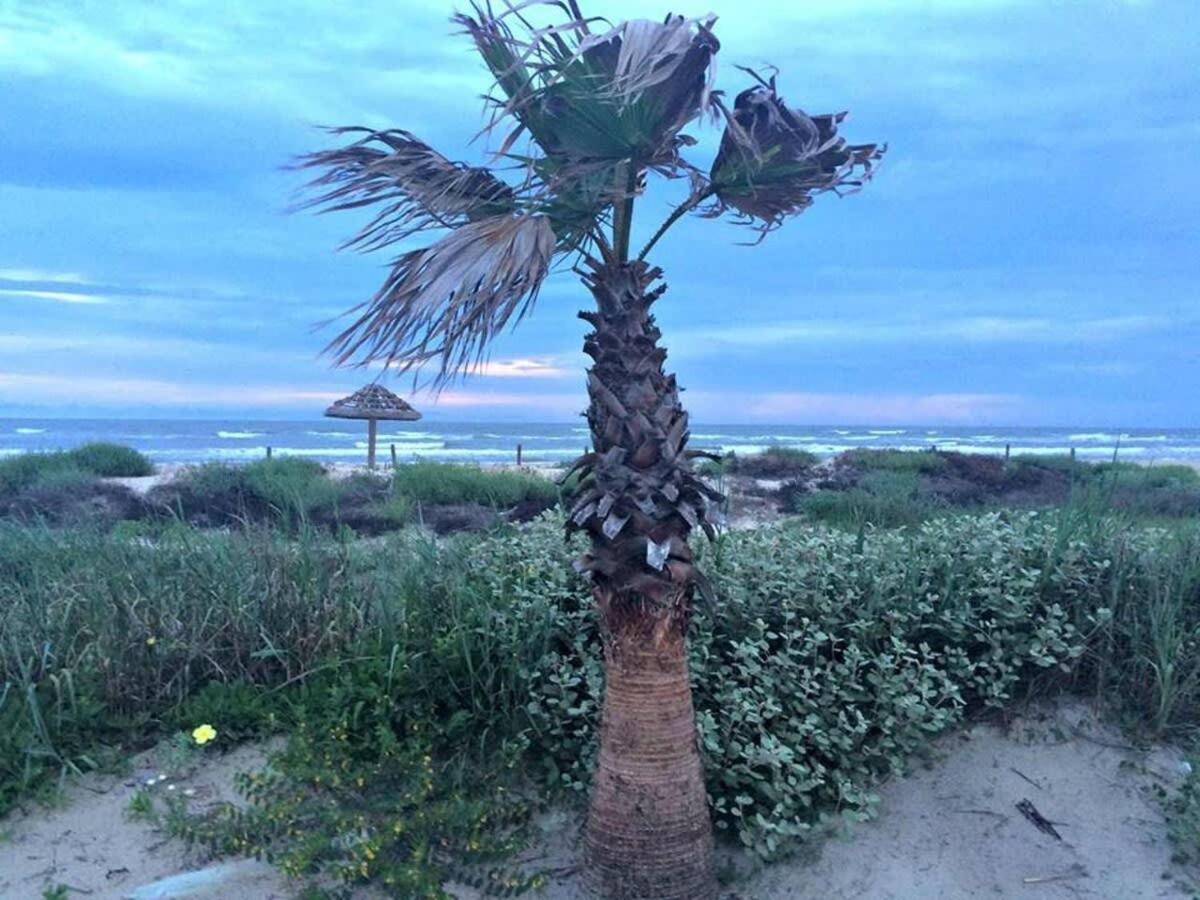 Cute Coastal Cottage! Just A Few Blocks To Beach, Gulf, Jetty And Splash Park! Surfside Beach Exterior photo